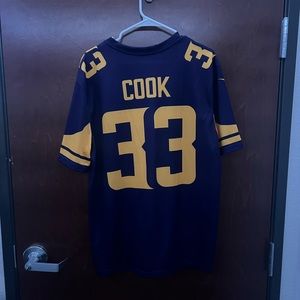 Dalvin Cook Minnesota Vikings Jersey